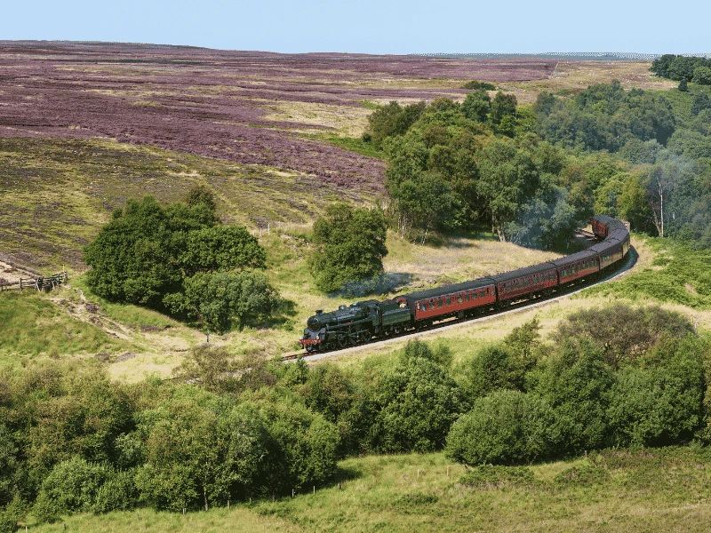 North York Moors heathland and Whitby coastline