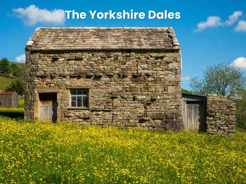 Yorkshire Dales stone barn and meadows